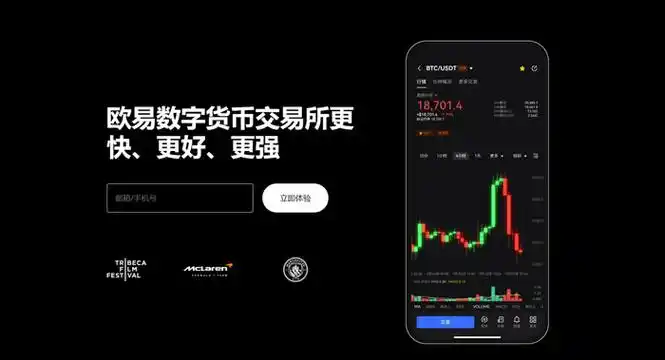 oe软件下载页面展示